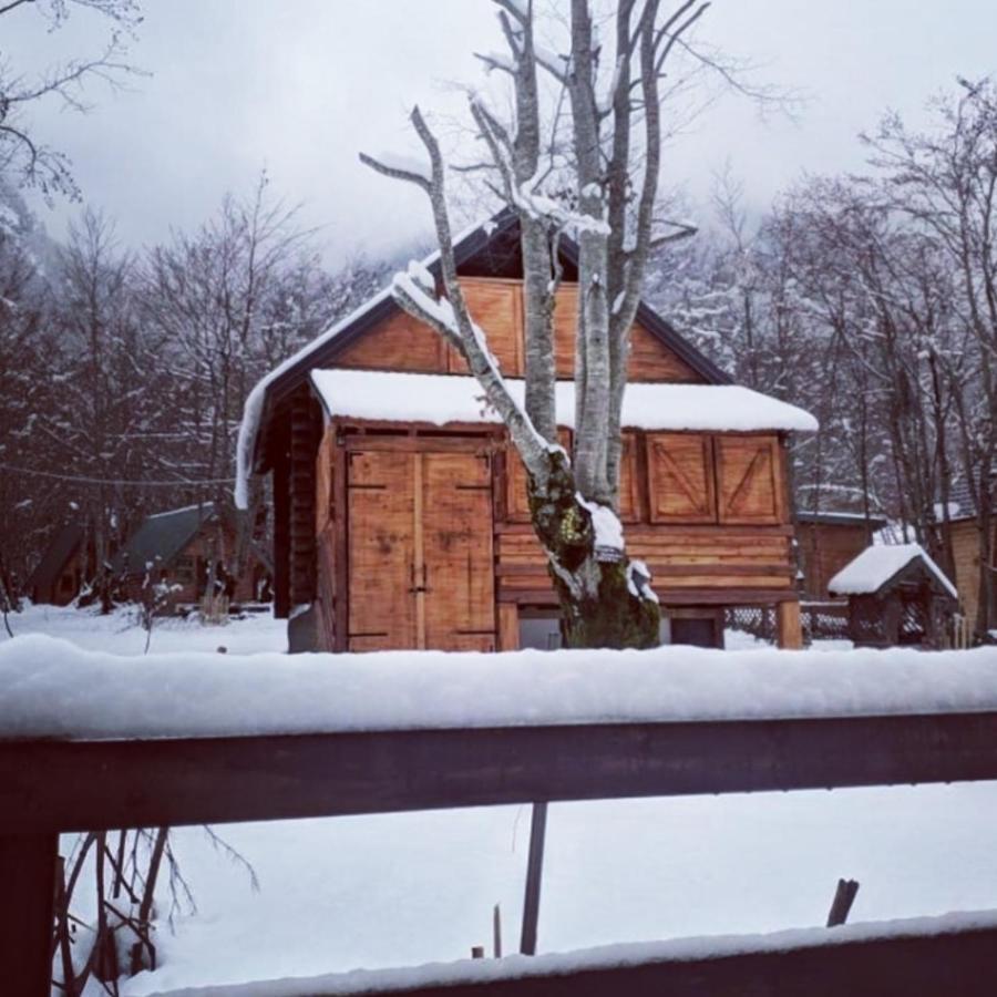 Bungalows Prokletije Gusinje Exteriér fotografie