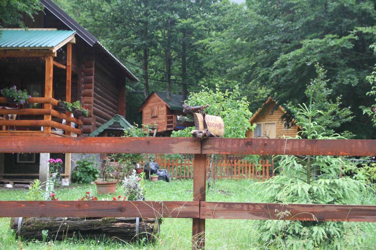 Bungalows Prokletije Gusinje Exteriér fotografie