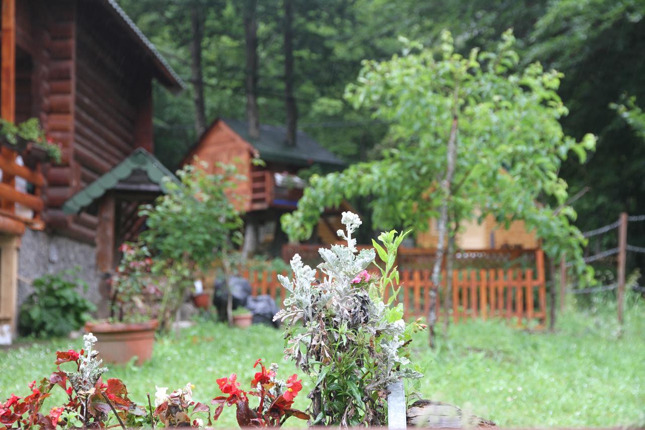 Bungalows Prokletije Gusinje Exteriér fotografie